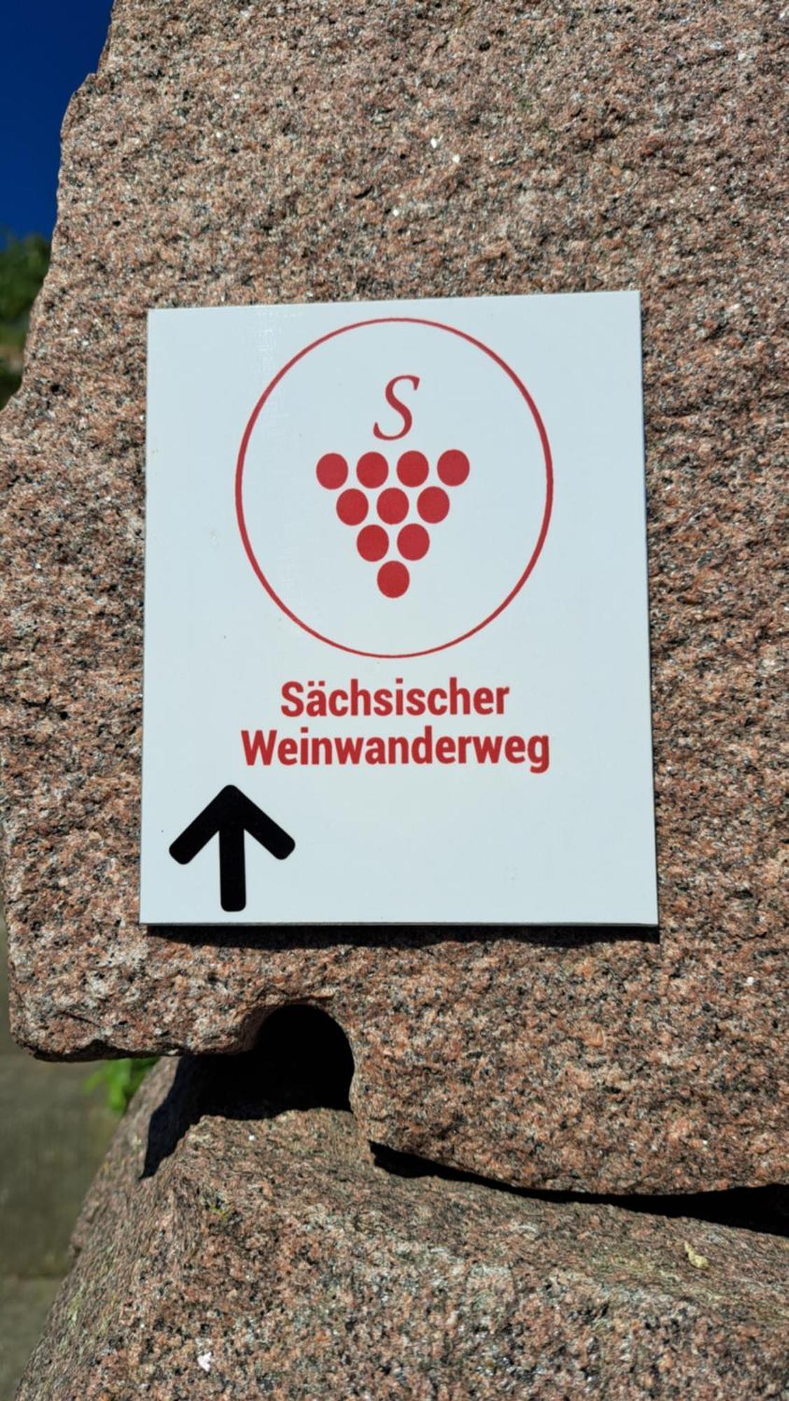 Pension Am Elberadweg Radebeul Zewnętrze zdjęcie